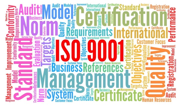 Courses to take to become an ISO expert